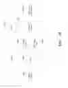 Fig. 19 - Method and apparatus for performing background image registration