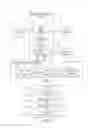 Fig. 02 - Method for estimating aggregation results for generating three dimensional images