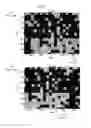 Fig. 07 - System and method of dimensional calibration for an analytical microscope