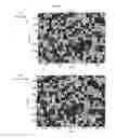 Fig. 09 - System and method of dimensional calibration for an analytical microscope