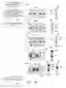 Fig. 06 - Gaming systems, apparatuses and methods for providing a conditional replay for a subset of a game play area