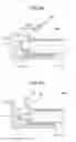 Fig. 05 - Plasma processing apparatus and plasma processing method