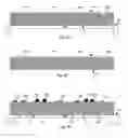 Fig. 07 - Delayed Via Formation in Electronic Devices