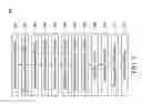 Fig. 06 - Semiconductor structure and manufacturing method thereof