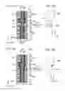 Fig. 02 - Semiconductor memory device and method for manufacturing the same
