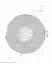 Fig. 05 - MAGNETIC ISOLATORS FOR INCREASED VOLTAGE OPERATIONS AND RELATED METHODS