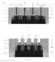 Fig. 02 - GATE STRUCTURES