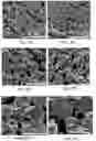 Fig. 08 - High-performance terbium-based thermoelectric materials