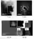Fig. 09 - High-performance terbium-based thermoelectric materials