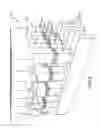 Fig. 06 - Apparatuses including electrodes having a conductive barrier material and methods of forming same