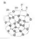 Fig. 01 - Positive electrode active material for non-aqueous electrolyte secondary batteries