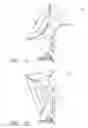 Fig. 09 - Three-axis pedestal having motion platform and piggy back assemblies