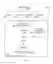 Fig. 11 - Secondary asynchronous background authorization (SABA)