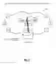 Fig. 08 - Efficient prioritized restoration of services in a control plane-based optical network