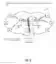 Fig. 09 - Efficient prioritized restoration of services in a control plane-based optical network
