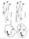 Fig. 37 - HEADSET-BASED TELECOMMUNICATIONS PLATFORM