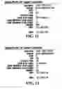 Fig. 12 - INTERCEPTING VOICE OVER IP COMMUNICATIONS AND OTHER DATA COMMUNICATIONS