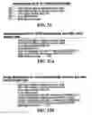Fig. 19 - INTERCEPTING VOICE OVER IP COMMUNICATIONS AND OTHER DATA COMMUNICATIONS