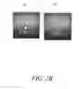 Fig. 04 - Thin Film Camera