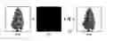 Fig. 01 - Defocus estimation method independent of the scene content and use in an autofocus system