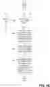 Fig. 12 - Provision of additional network addressable numbers on single mobile device