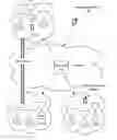 Fig. 01 - Systems and methods for enhanced mesh networking