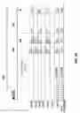 Fig. 06 - Bandwidth query report poll