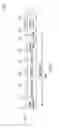 Fig. 02 - Fast initial link setup discovery frames