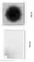 Fig. 08 - Method and apparatus for horticultural lighting with current sharing
