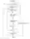 Fig. 40 - Apparatus, system and method to avoid glare while driving, using intermittent light pulse emission during night vision encounters