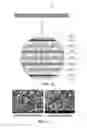 Fig. 09 - Heat dissipation unit for wireless charging and wireless power charging module comprising same