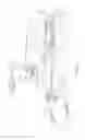 Fig. 02 - Windrow merger attachment