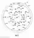 Fig. 07 - PLANTING SYSTEM FOR OPTIMIZATION OF PLANT GROWTH