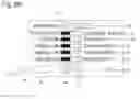 Fig. 05 - Functional communication lexigram device and training method for animal and human