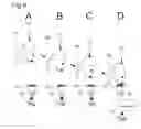 Fig. 08 - Functional communication lexigram device and training method for animal and human