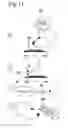 Fig. 10 - Functional communication lexigram device and training method for animal and human