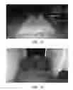 Fig. 02 - Method to use a colored photoluminescent composition in agricultural applications