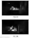 Fig. 03 - Method to use a colored photoluminescent composition in agricultural applications