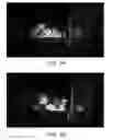 Fig. 04 - Method to use a colored photoluminescent composition in agricultural applications