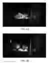 Fig. 05 - Method to use a colored photoluminescent composition in agricultural applications