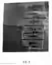 Fig. 06 - Method to use a colored photoluminescent composition in agricultural applications
