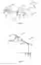 Fig. 03 - Apparatus and Method for Electrically Killing Plants