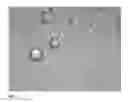 Fig. 02 - Macrostructure forming surfactants useful as spray drift control agents in pesticide spraying applications