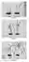Fig. 06 - Method for producing plant seed containing endophytic micro-organisms