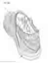 Fig. 05 - CLOTHING ITEM COMPRISING SPIDER SILK