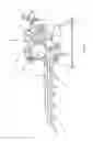 Fig. 07 - Comestible product sheeter and sheeter roller, and method of using the same