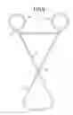 Fig. 06 - ELASTIC POULTRY BINDER CONSTRUCTION AND METHOD OF USE FOR BINDING POULTRY