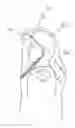 Fig. 01 - Protective apparel and support apparatus and method of use