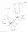 Fig. 22 - Protective apparel and support apparatus and method of use
