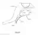Fig. 28 - Protective apparel and support apparatus and method of use